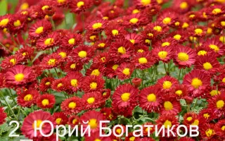 Прометей