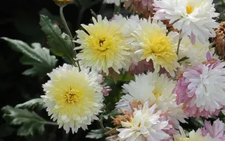 Хрустальная / Хрустальна