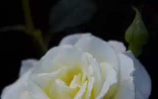 Виа Мала / Віа Мала