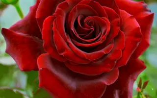 Норита / Норіта