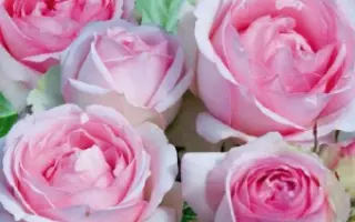 Schormai / Схормай