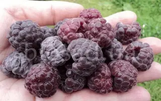 Glen Coe / Глен Коу