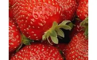 Веселка