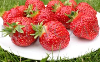 Honeoye / Хонейо