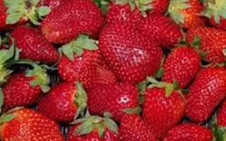 DrisStrawFiftyEight / ДрісСтроуФіфтіЕйт