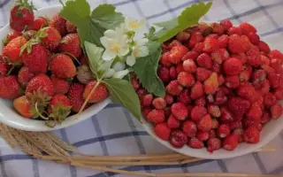 DrisStrawFortyFive / ДрісСтроуФортіФайв