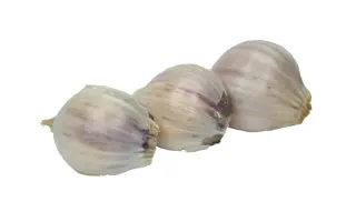 Айдер