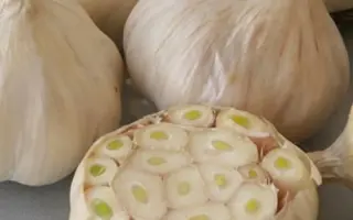 Знахар