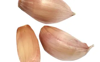 Лідія