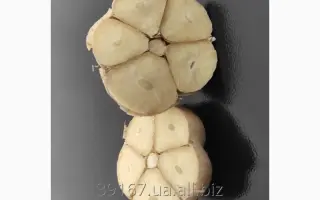 Любава Таврійська