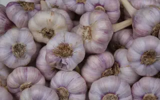 Super Lyubasha / Супер Любаша