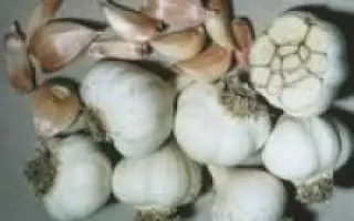 Мануйлівський