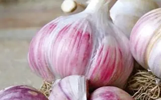 Софиевский / Софіївський