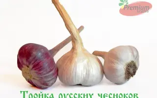 Тройка