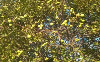 Пам'яті Затокового