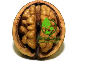 Рудковский / Рудківський