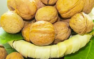 Слава Україні