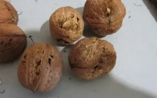 Стрижавський Паперовий