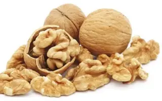 Приднестровский / Придністровський