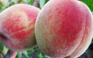 Днепровский / Дніпровський