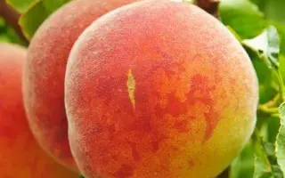 Мостиський