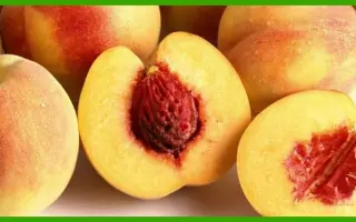 Золотой юбилей / Золотий ювілей