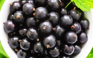 Владимирская / Володимирська