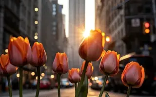 Эмпайр Стейт / Емпрайр Стейт