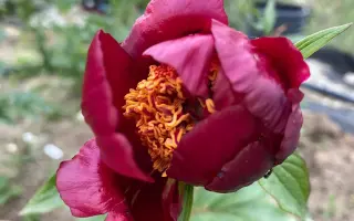 Героям Небесної Сотні