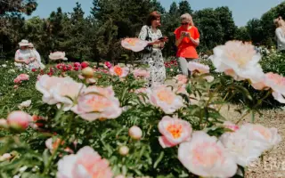 Дзвони Михайлівського