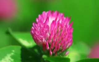 Atlantis / Атлантіс