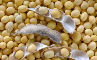 Apollo / Аполло