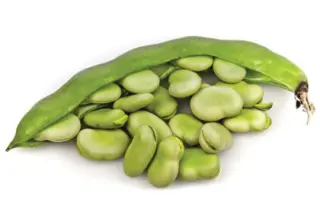 Переможець