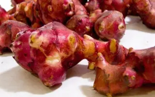 Фіолет київський