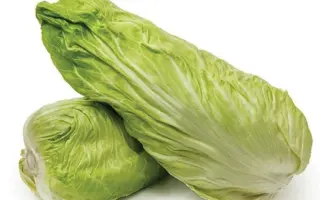 Vespero / Весперо