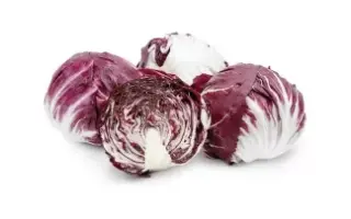 Indigo / Індіго