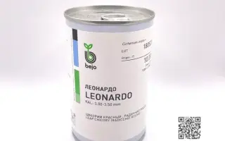 Leonardo / Леонардо