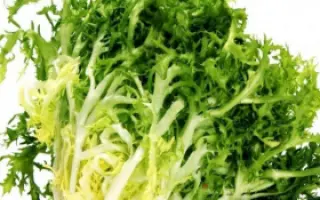 Benefine / Бенефайн