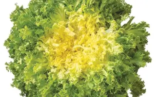 Domari / Домарі