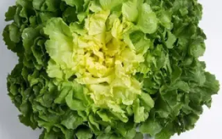 Parmance / Парманс