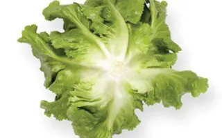 Seychel / Сейшел