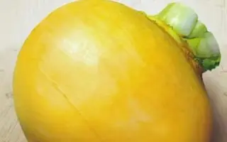 Zolota kulja / Золота куля