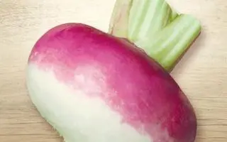 Purpurlepop / Пурпурлепоп