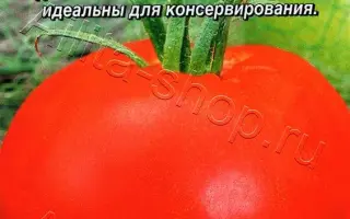 АЛПАТЬЕВА 905 А