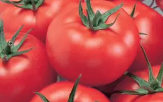 ПЕРЕМОГА 165