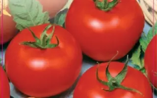 ВОЛГОГРАДСКИЙ 5/95