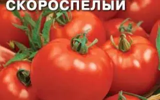 СИБИРСКИЙ СКОРОСПЕЛЫЙ