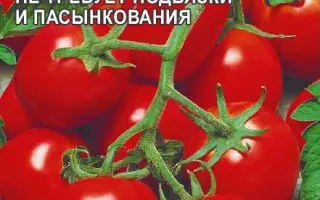 НОВИНКА ПРИДНЕСТРОВЬЯ