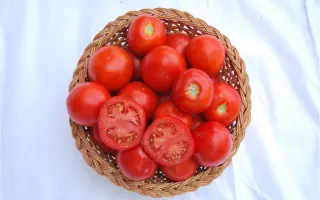 НОВИНКА КУБАНИ