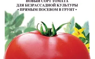 МАКСИМА